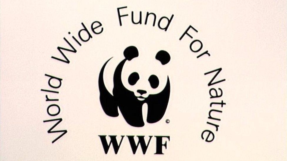 VUFO & WWF to Enhance Cooperation Based on Protecting Local Environment in Vietnam