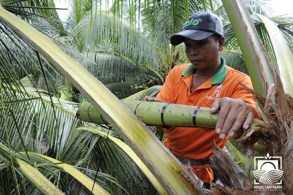 Photo: Nong Lam Farm