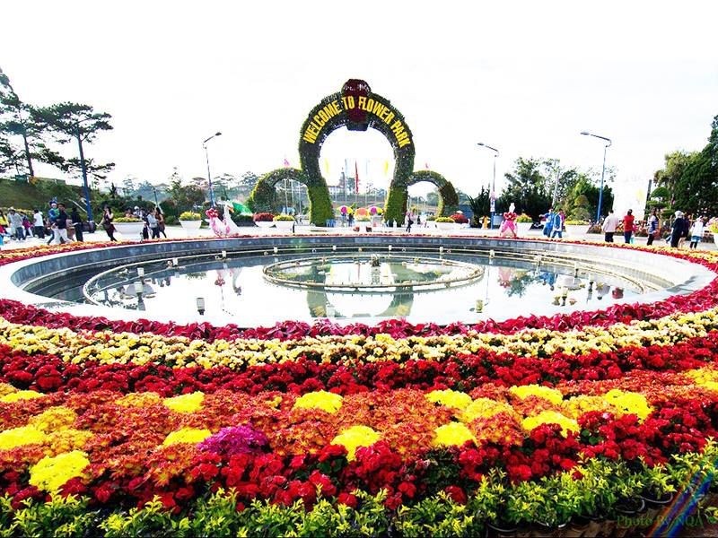 Da Lat Name One of The World's Top 6 Destinations for Spring Flowers