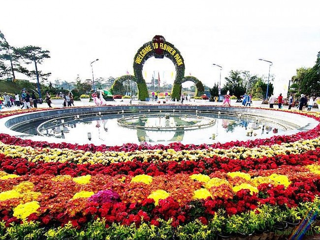 Da Lat Named Top 6 Global Destination for Spring Flowers