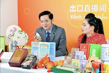 Vietnam Envoys Promote Premium Online Goods in Nanning (China)