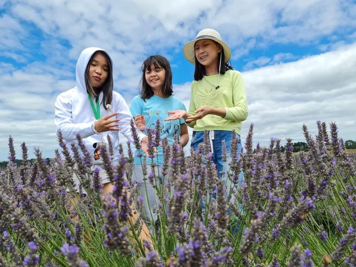 Two Vietnamese Math Genius Teenagers Study at Top 1% University in the World