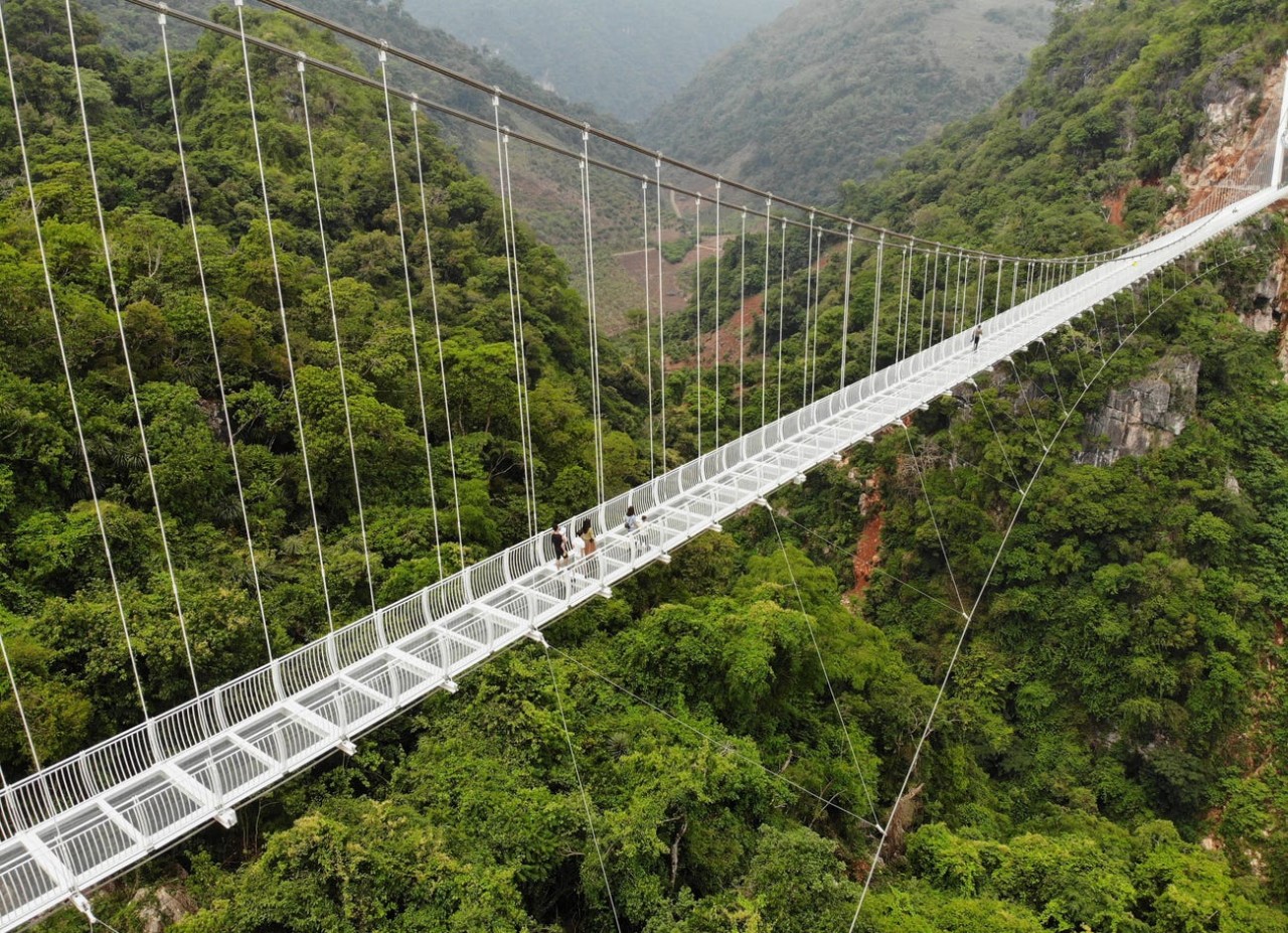 International Press Impressed with World's Longest Glass-bottomed Bridge in Vietnam