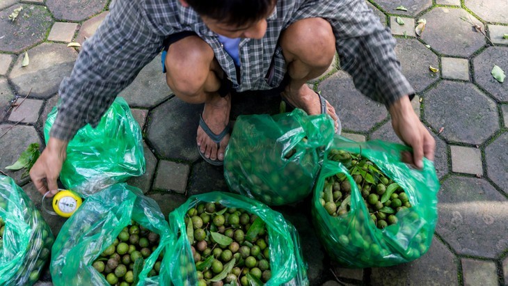 Hanoi's Top Desserts Paradise to Try This Summer