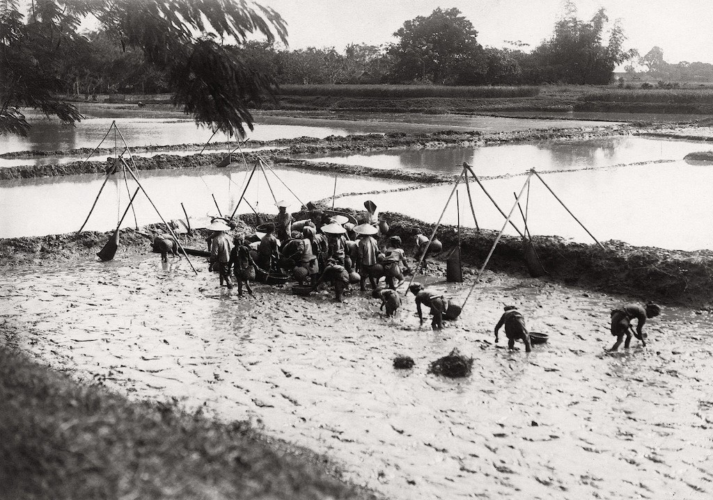 A Throwback to the Past of Vietnam 100 Years Ago