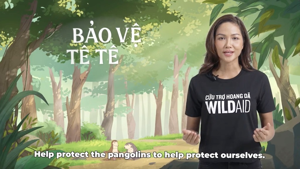 CHANGE and WildAid Vietnam Launched Short Film to Protect Pangolins and Our Future