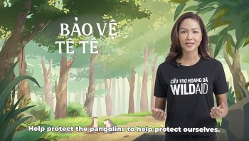 CHANGE and WildAid Vietnam Launched Short Film to Protect Pangolins and Our Future