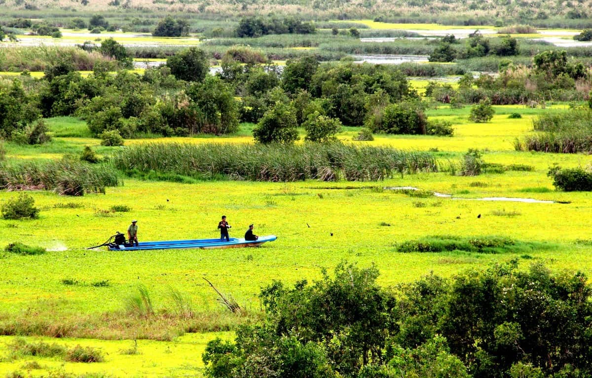 experience a green visit to unique national park in kien giang