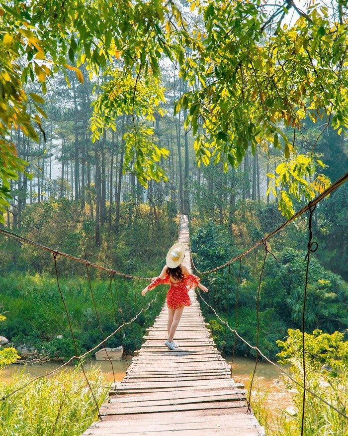 Beautiful Rope Bridges Around Vietnam