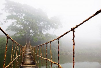 Beautiful Rope Bridges Around Vietnam