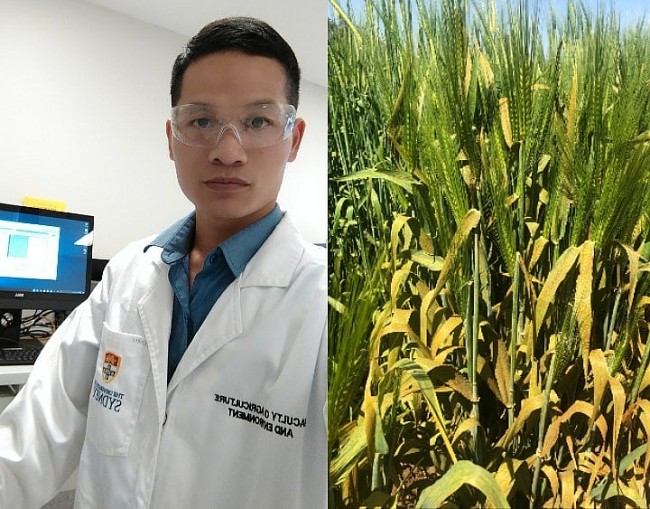 Viet Scientist Tackles World Hunger with Gene Coding Research