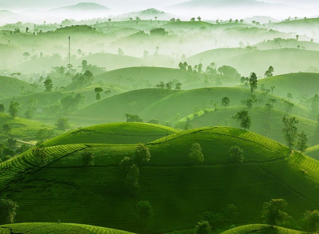 Vietnamese Wins Silver in International Photos Award