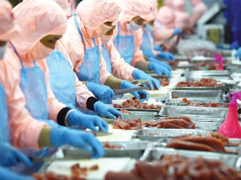 vietnam exports surplus to meet global market demand