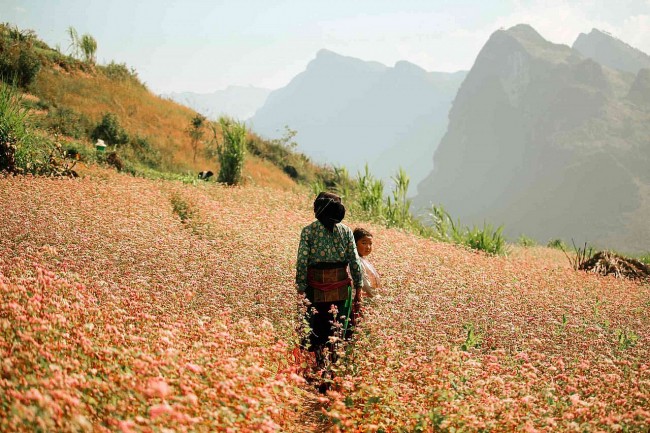 Exploring Wondrous Century-old Village in Ha Giang