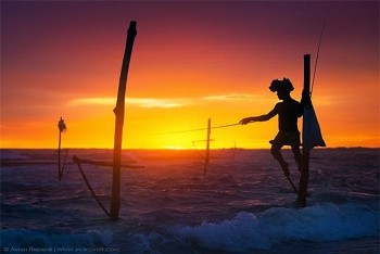 The Last Stilt Fishermen in Sri Lanka