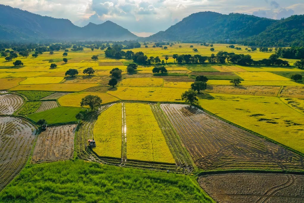 Stunning Photogenic Scene of Tà Pạ Rice Field to See Right Now