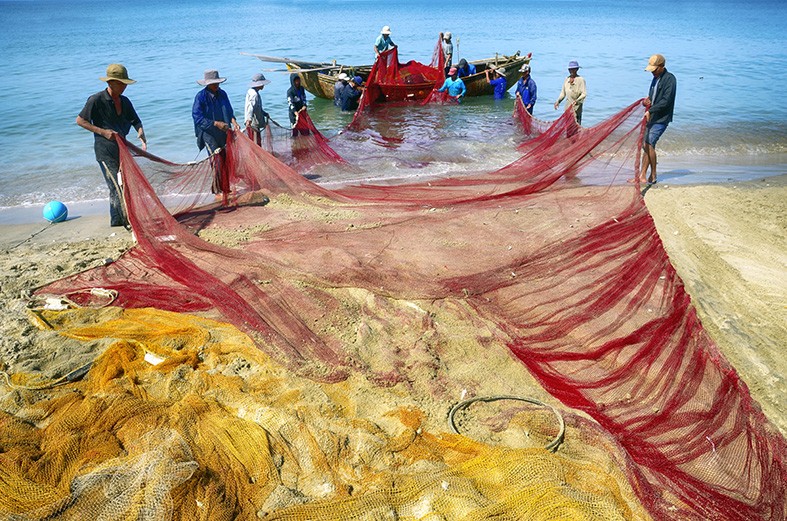Beautiful Vietnam Through the Lens of Int'l Photographers