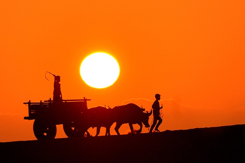 Beautiful Vietnam Through the Lens of Int'l Photographers