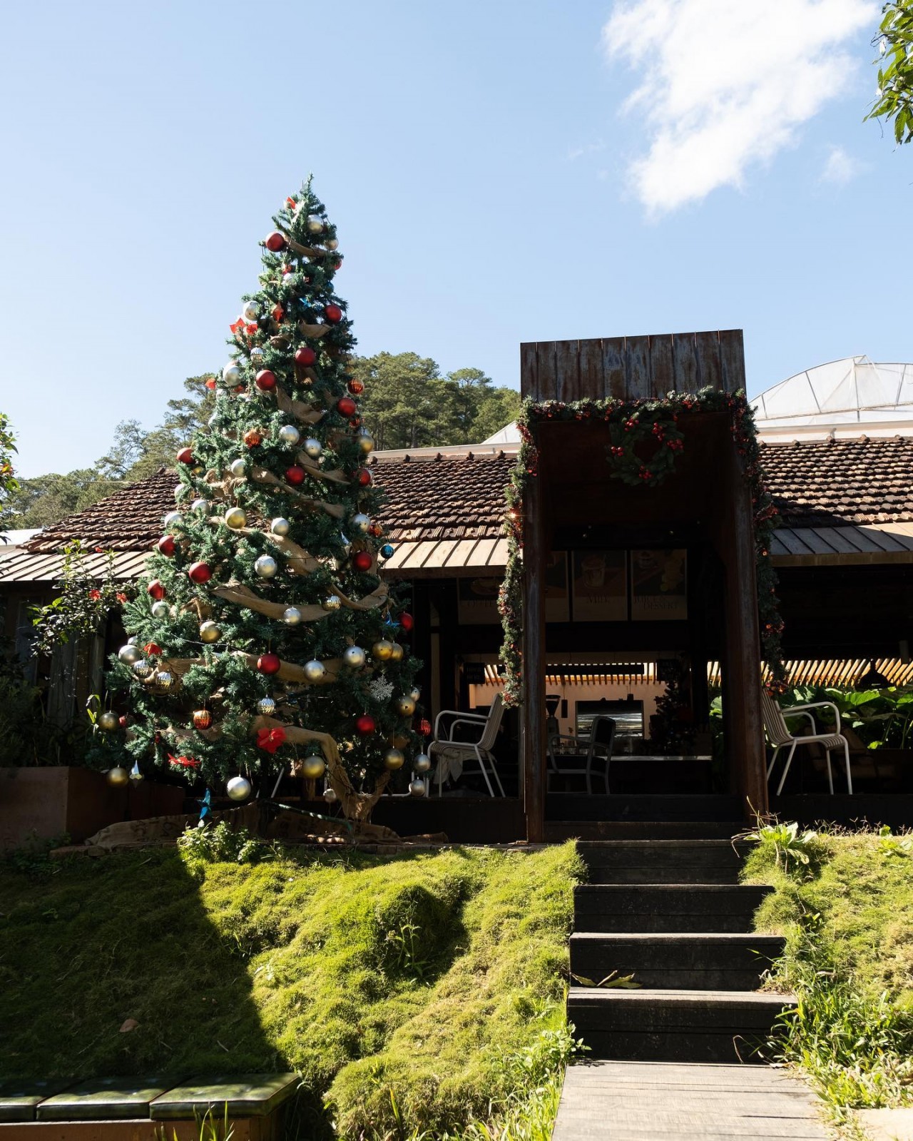 Da Lat All-in-One Cafés and Restaurants to Feel Four Season in One Day