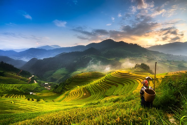 Magnificent Vietnamese Landscape Photography Spotlighted at US Exhibition