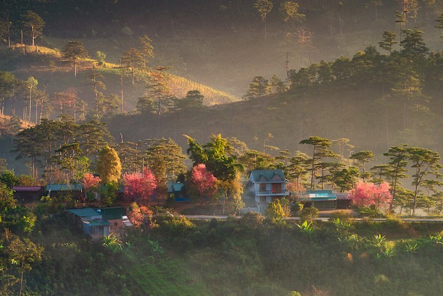 Magnificent Vietnamese Landscape Photography Spotlighted at US Exhibition