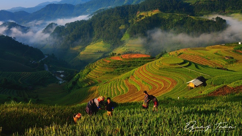 Magnificent Vietnamese Landscape Photography Spotlighted at US Exhibition