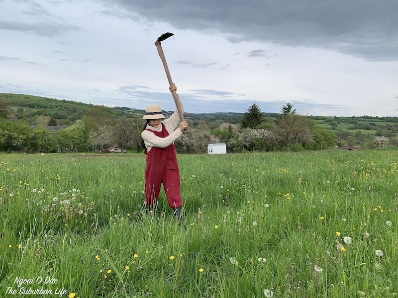 The Suburban Life in German: Thousands Square Meter Orchard of Vietnamese-German Couple