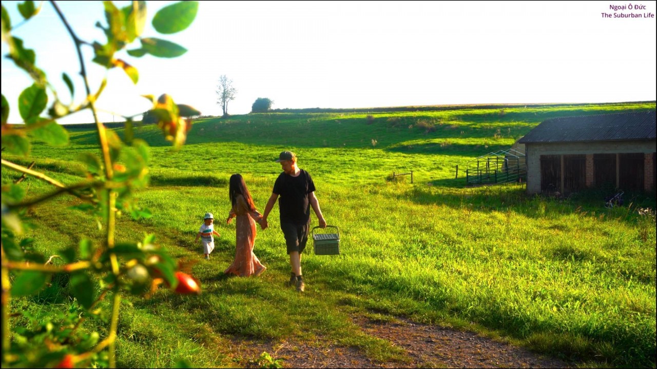 The Suburban Life in German: Thousands Square Meter Orchard of Vietnamese-German Couple