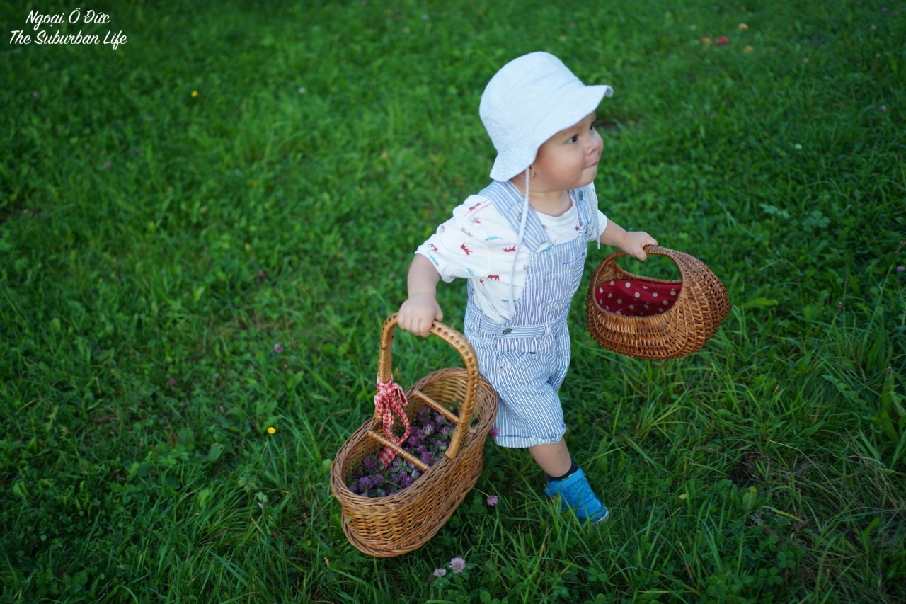 The Suburban Life in German: Thousands Square Meter Orchard of Vietnamese-German Couple