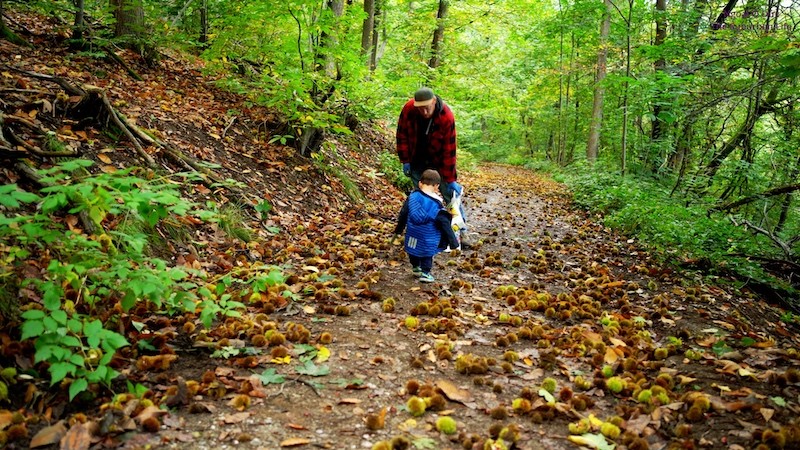 The Suburban Life in German: Thousands Square Meter Orchard of Vietnamese-German Couple