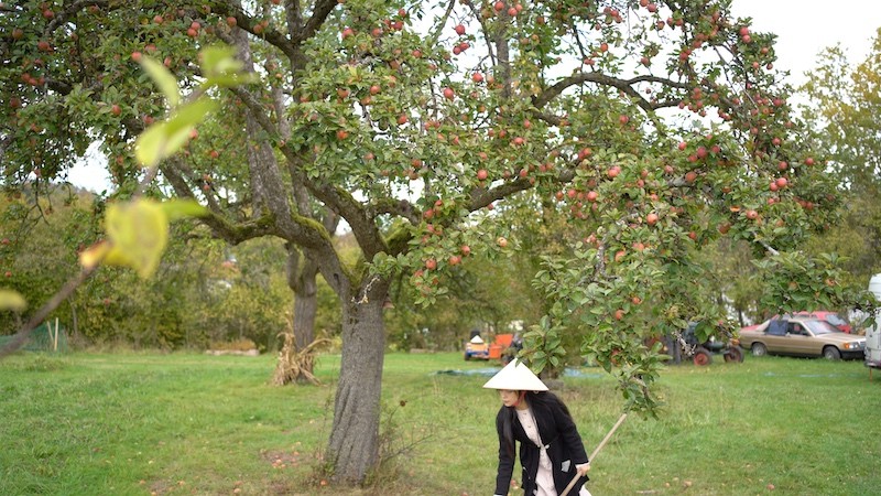 The Suburban Life in German: Thousands Square Meter Orchard of Vietnamese-German Couple