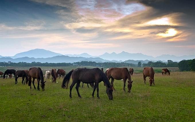 Colorful Thai Nguyen: Top 10 Famous Tourist Attractions