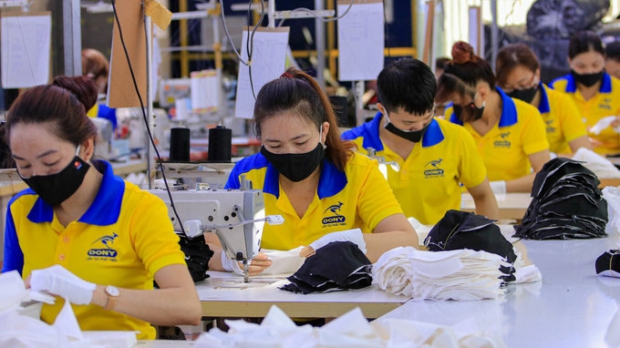vietnamese dutch businesses urged to optimise evfta