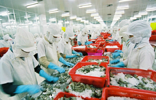 US removes anti-dumping duties on Vietnamese frozen shrimp products