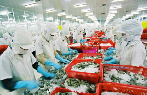 us removes anti dumping duties on vietnamese frozen shrimp products