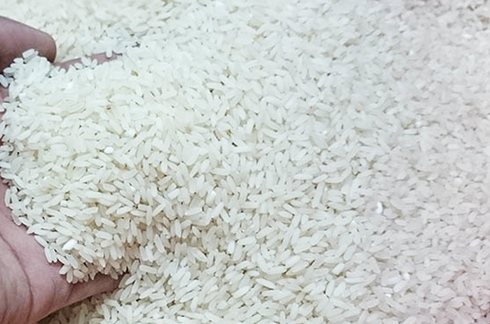 vietnam continues rice industry restructuring
