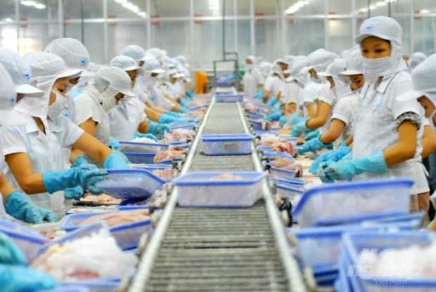 Vietnam’s aquatic exports to Taiwan rise sharply amidst COVID-19