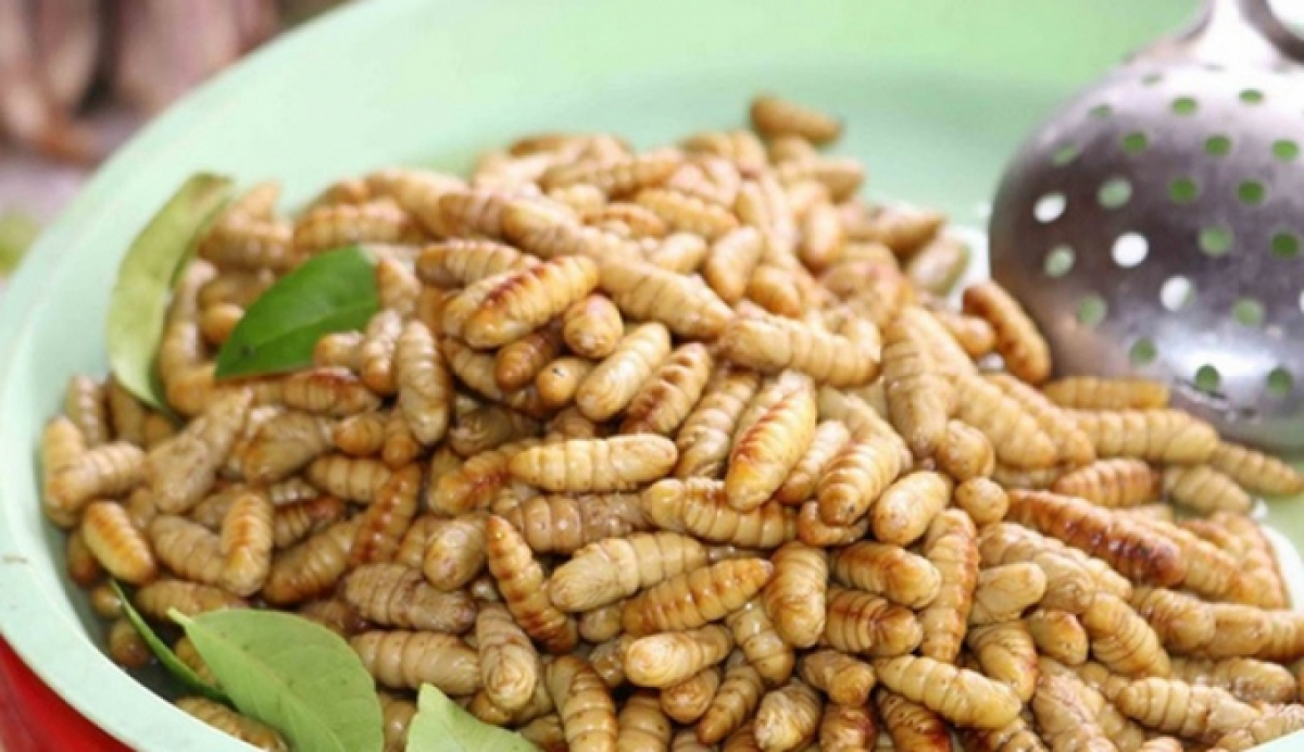 Vietnam allowed to ship insect-based food to EU | Vietnam Times