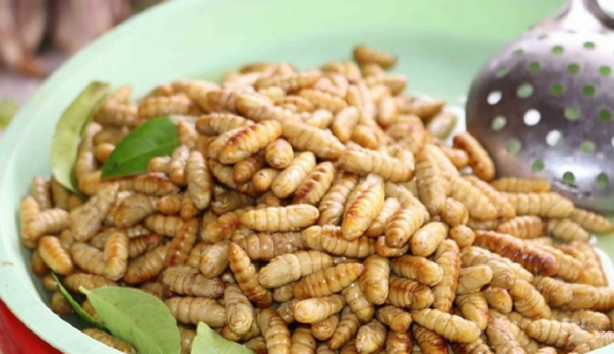 vietnam allowed to ship insect based food to eu