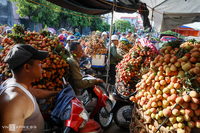 lychee growing localities receive preorders from foreign traders