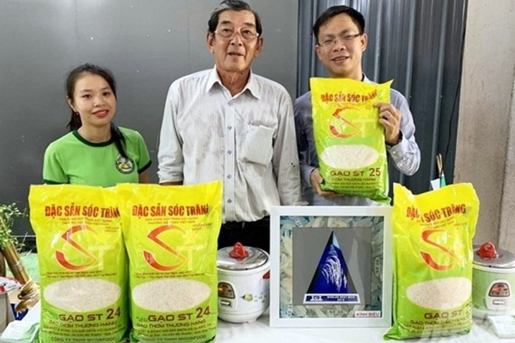 Rice varieties named ST24 and ST25 are successfully developed by Mr. Ho Quang Cua and a team of Vietnamese scientists and have been granted a patent in Vietnam. (Photo: Labor Newspaper)