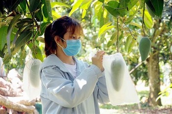 Vietnam Calls for UK Investment in High-Tech Agriculture
