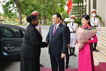 Vietnam Treasures Traditional Relations with Mozambique: NA Chairman