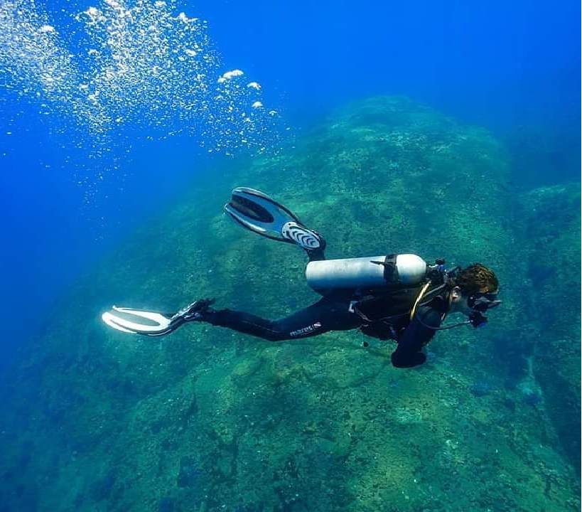 top vietnam destinations unforgettable coral diving on cham islands in hoi an