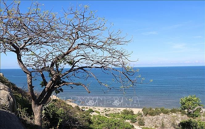 Two More Biosphere Reserves in Vietnam Seek UNESCO Recognition