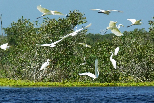 Two More Biosphere Reserves in Vietnam Seek UNESCO Recognition