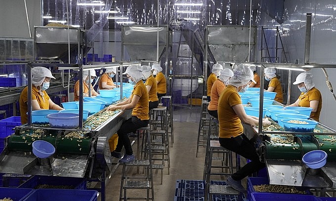 Workers at a cashew factory in the southern province of Long An, July 2021. 