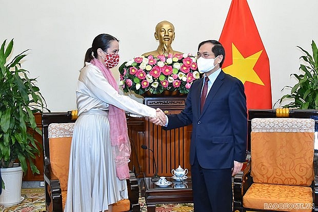 Minister of Foreign Affairs Bui Thanh Son hosts a reception for New Zealand Ambassador Tridene Dobson in Hanoi on October 28. (Photo: baoquocte.vn)