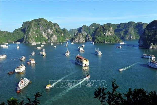 2503 ha long