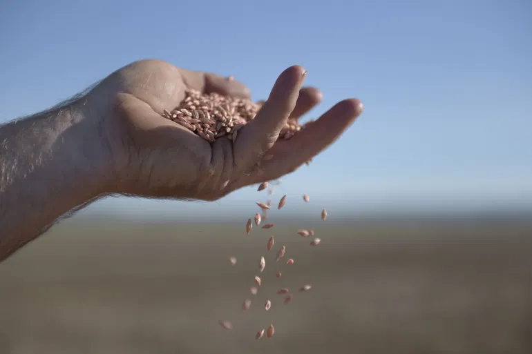 Message behind Australia’s appeal to WTO over China’s barley tariffs